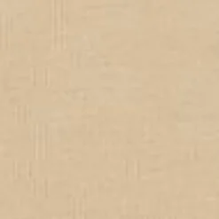 Mænd Carhartt WIP American Script T-Shirt | Rattan