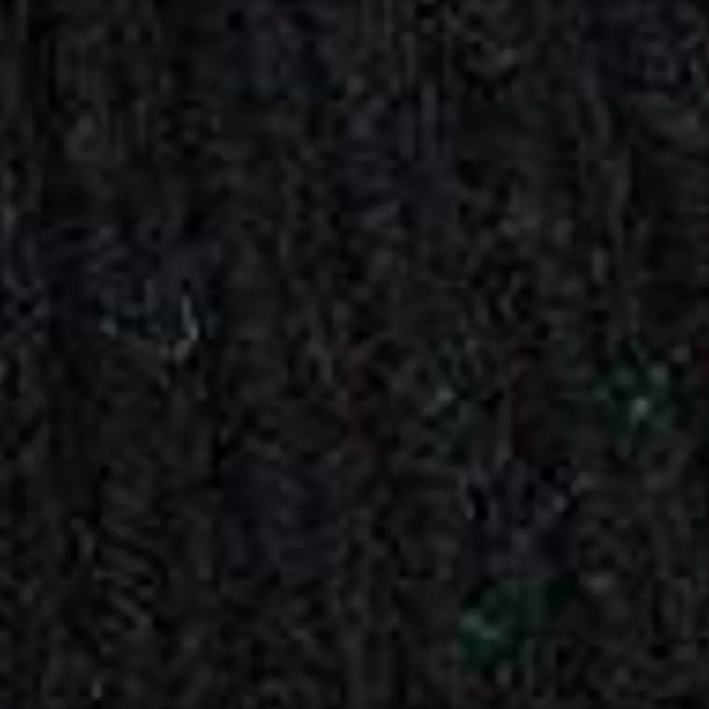 Carhartt WIP Anglistisk Beanie | Sort