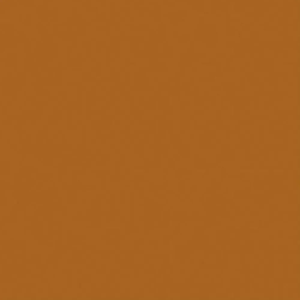 Mænd Carhartt WIP Bib Samlet | Hamilton Brown