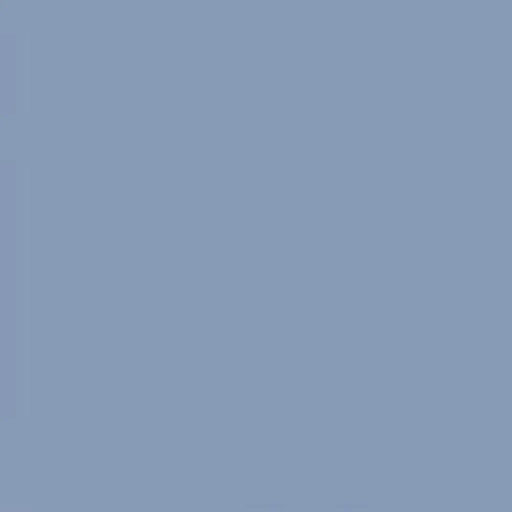 Mænd Carhartt WIP Brandon Short | Bla (Sten Bleget)