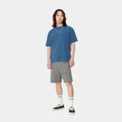 Mænd Carhartt WIP Chase Sweat Short | Morkegra Heather