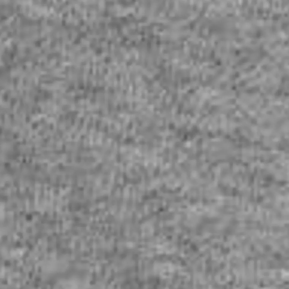 Mænd Carhartt WIP Chase Sweat Short | Morkegra Heather