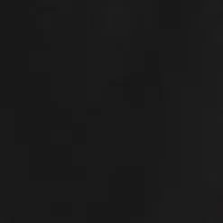 Mænd Carhartt WIP Chase Sweat Short | Sort