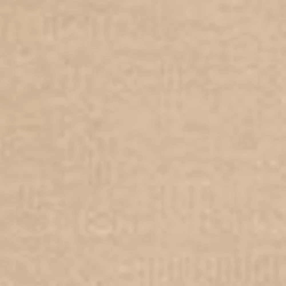 Mænd Carhartt WIP Chase Sweatshirt Med Haette | Sobel