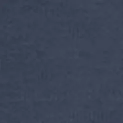 Mænd Carhartt WIP Chase Sweatshirt Med Haette | Bla