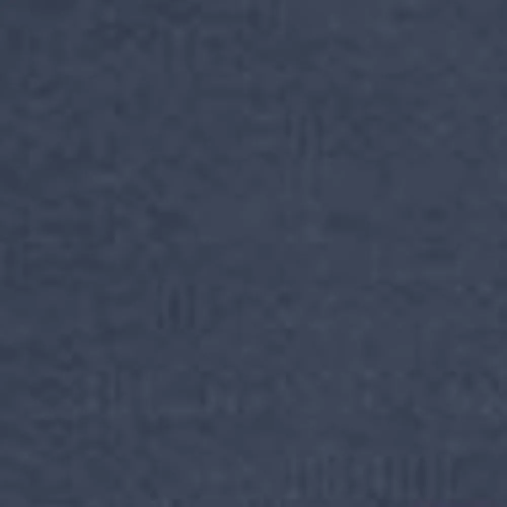 Mænd Carhartt WIP Chase Sweatshirt Med Haette | Bla