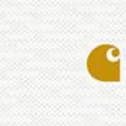 Mænd Carhartt WIP Chase Sweatshirt Med Haette | Ask Heather