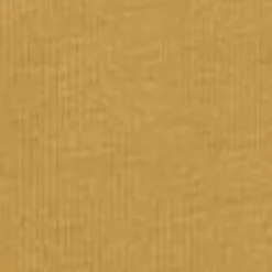 Mænd Carhartt WIP Chase T-Shirt | Solstrale