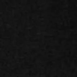 Mænd Carhartt WIP Cole Cargo Short | Sort