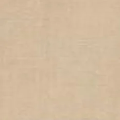 Mænd Carhartt WIP Colston Short | Vaeg (Beklaedningsgenstand Farvet)