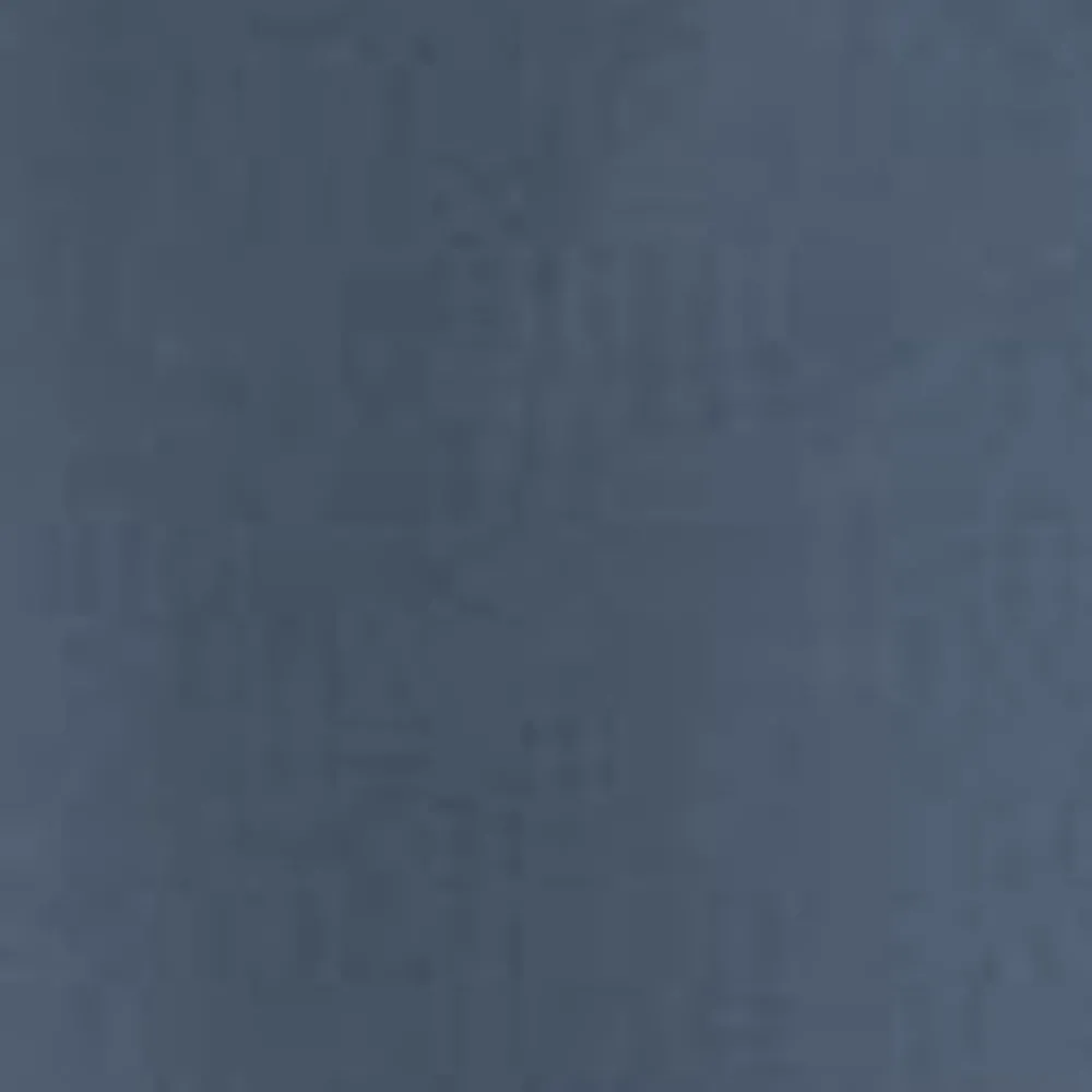 Kvinder Carhartt WIP Dame Mesterbukser | Hudson Bla