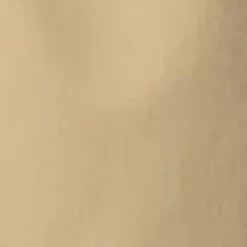 Kvinder Carhartt WIP Dame Mesterbukser | Sobel