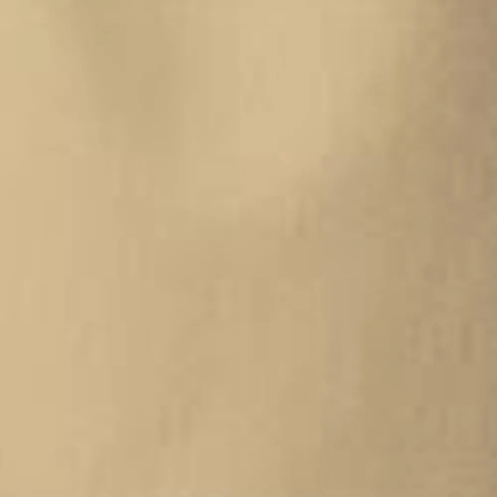 Kvinder Carhartt WIP Dame Mesterbukser | Sobel