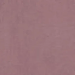 Kvinder Carhartt WIP Damesmaek Overall Lige | Daphne