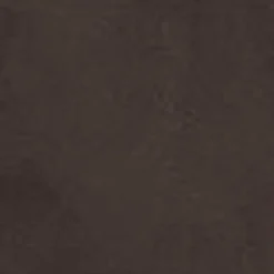 Kvinder Carhartt WIP Damesmaek Overall Lige | Tobak