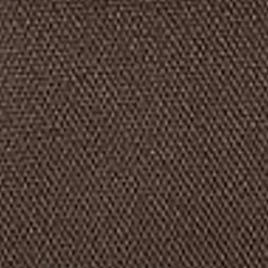 Carhartt WIP Essentials Taske | Tobak