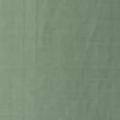 Mænd Carhartt WIP Evers Skjorte | Parkere