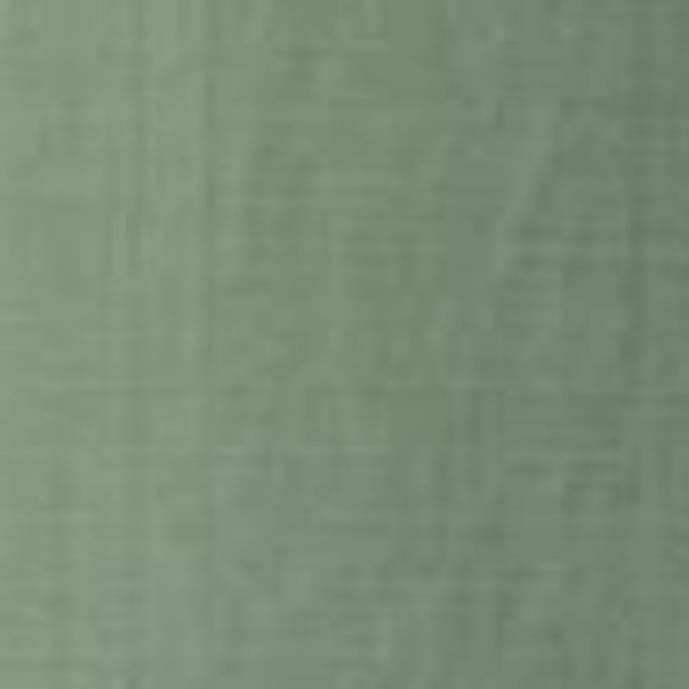 Mænd Carhartt WIP Evers Skjorte | Parkere