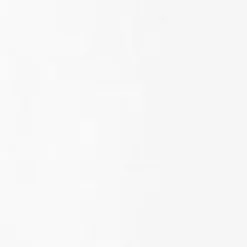 Mænd Carhartt WIP Fisk T-Shirt | Hvid