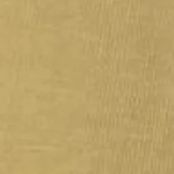 Mænd Carhartt WIP Fixed Bugs T-Shirt | Agat