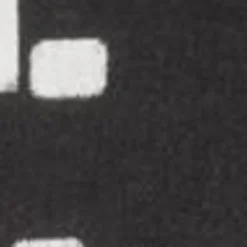 Mænd Carhartt WIP Foto Strip Print Skjorte | Sort Hvid