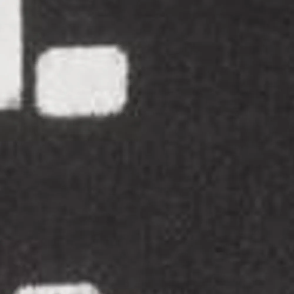 Mænd Carhartt WIP Foto Strip Print Skjorte | Sort Hvid