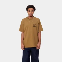 Mænd Carhartt WIP Groundworks T-Shirt | Hamilton Brown