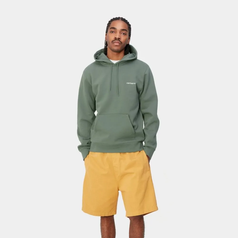 Mænd Carhartt WIP Haettetroje Med Script-Broderi | Parkere