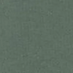 Mænd Carhartt WIP Haettetroje Med Script-Broderi | Parkere