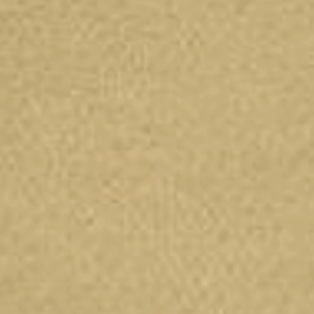 Mænd Carhartt WIP Haettetroje Med Script-Broderi | Agat