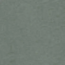 Mænd Carhartt WIP Handvaerksbukser | Parkere