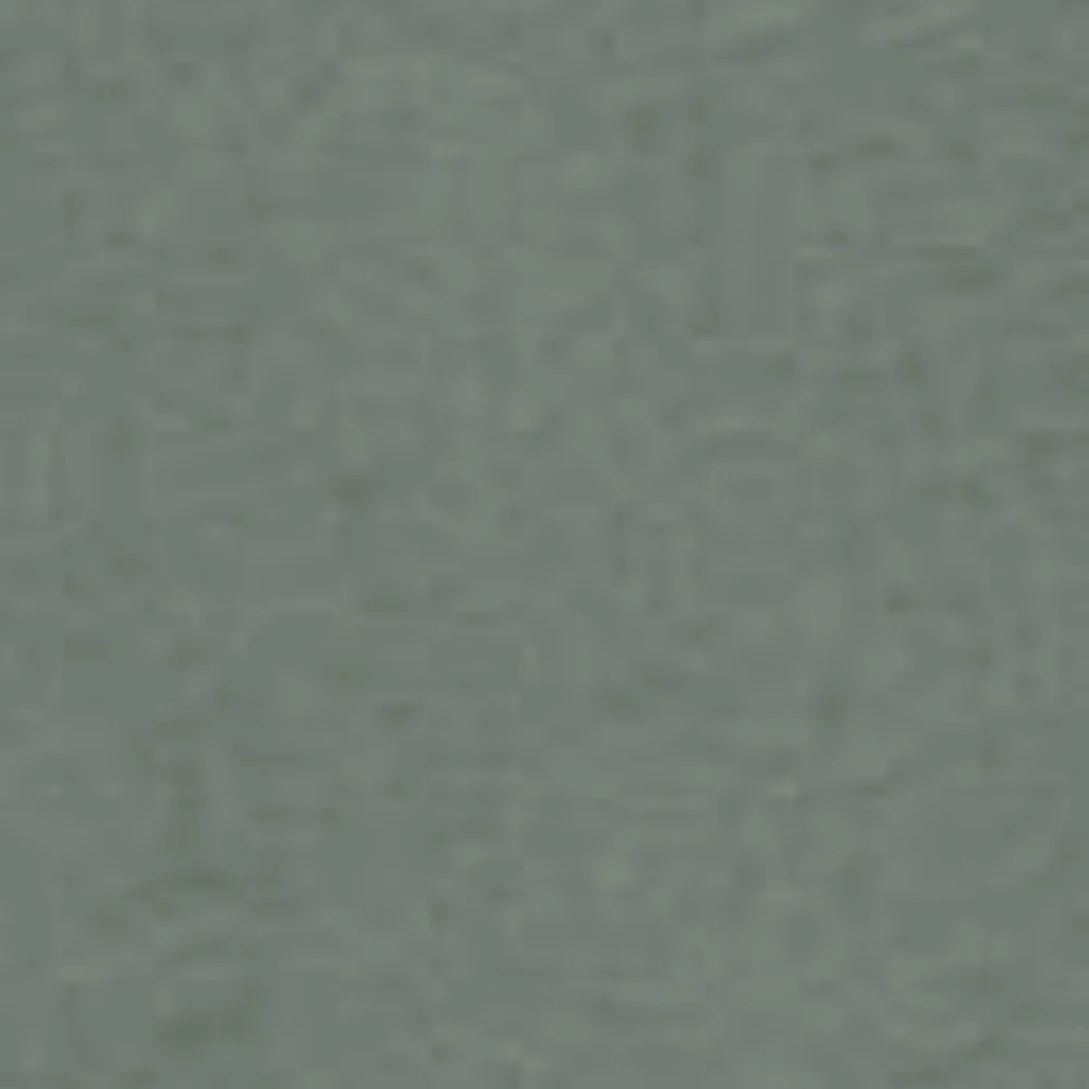 Mænd Carhartt WIP Handvaerksbukser | Parkere