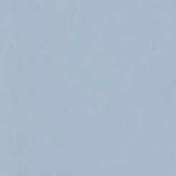 Kvinder Carhartt WIP Jaxon Skjorte Til Kvinder | Frostet Bla