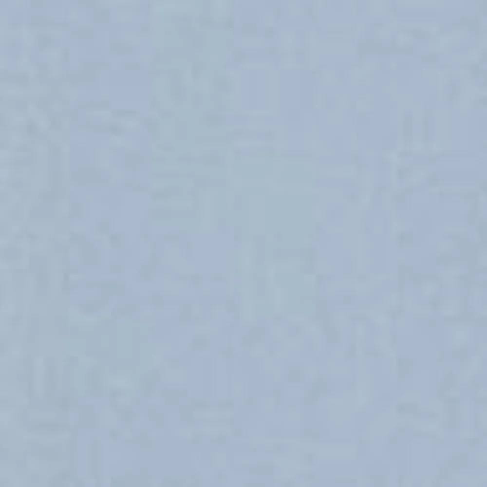 Kvinder Carhartt WIP Jaxon Skjorte Til Kvinder | Frostet Bla