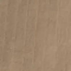 Mænd Carhartt WIP Jet Cargo Bukser | Laeder