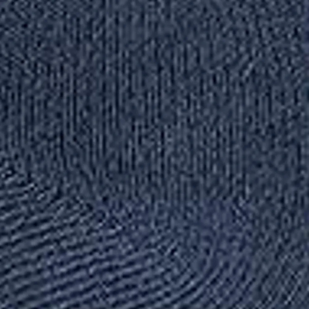 Mænd Carhartt WIP Orlean Stripe Sokker | Bla / Hvid