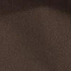 Carhartt WIP Philis Rygsaek | Tobak