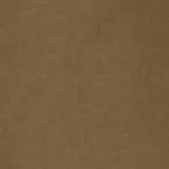 Mænd Carhartt WIP Rocky Coach Jakke | Tommer