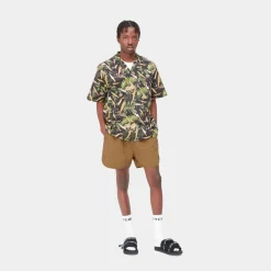 Mænd Carhartt WIP Rune Svommekort | Hamilton Brown