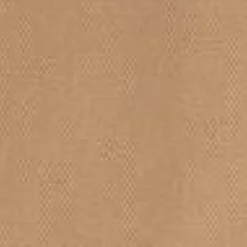 Kvinder Carhartt WIP Sacai X Andeskort Til Kvinder | Beige