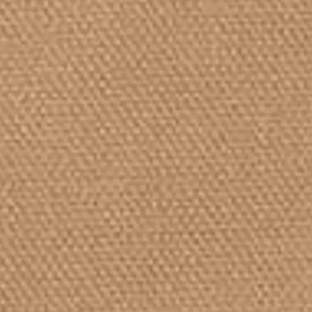 Kvinder Carhartt WIP Sacai X Andeshorts Til Kvinder | Beige