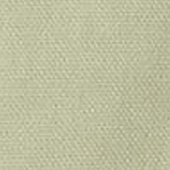 Kvinder Carhartt WIP Sacai X Andeshorts Til Kvinder | Lysegron