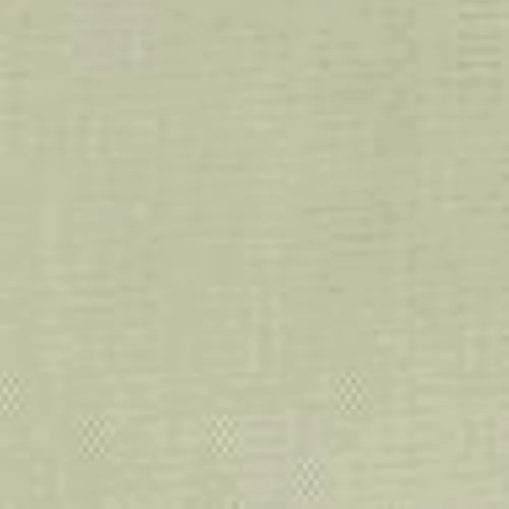 Kvinder Carhartt WIP Sacai X Andeskort Til Kvinder | Lysegron