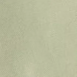 Mænd Carhartt WIP Sacai X Duck Shorts | Lysegron