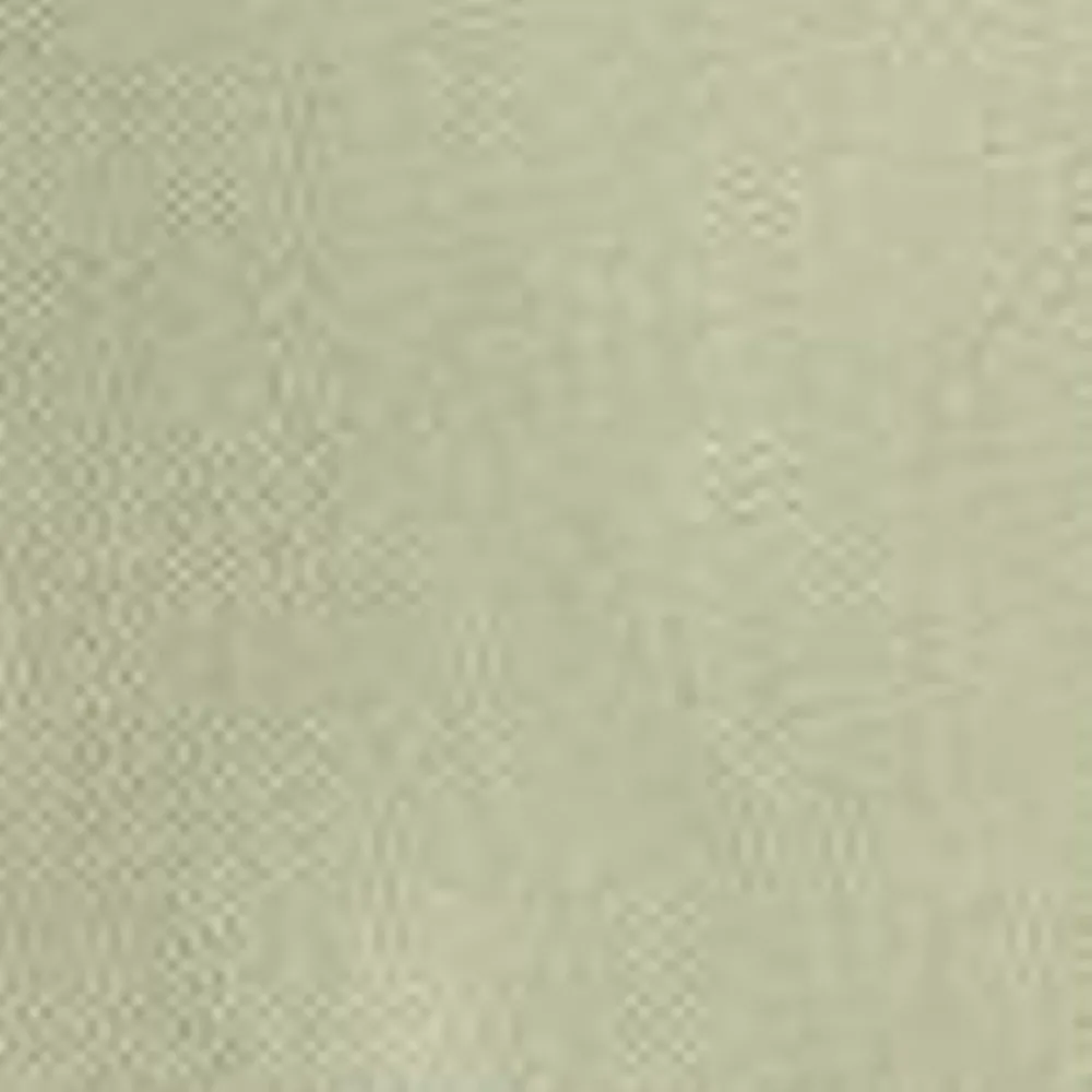 Mænd Carhartt WIP Sacai X Duck Shorts | Lysegron