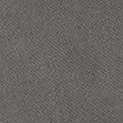 Mænd Carhartt WIP Sacai X Duck Shorts | Gra