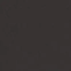 Mænd Carhartt WIP Script Lampeskaerm | Sort