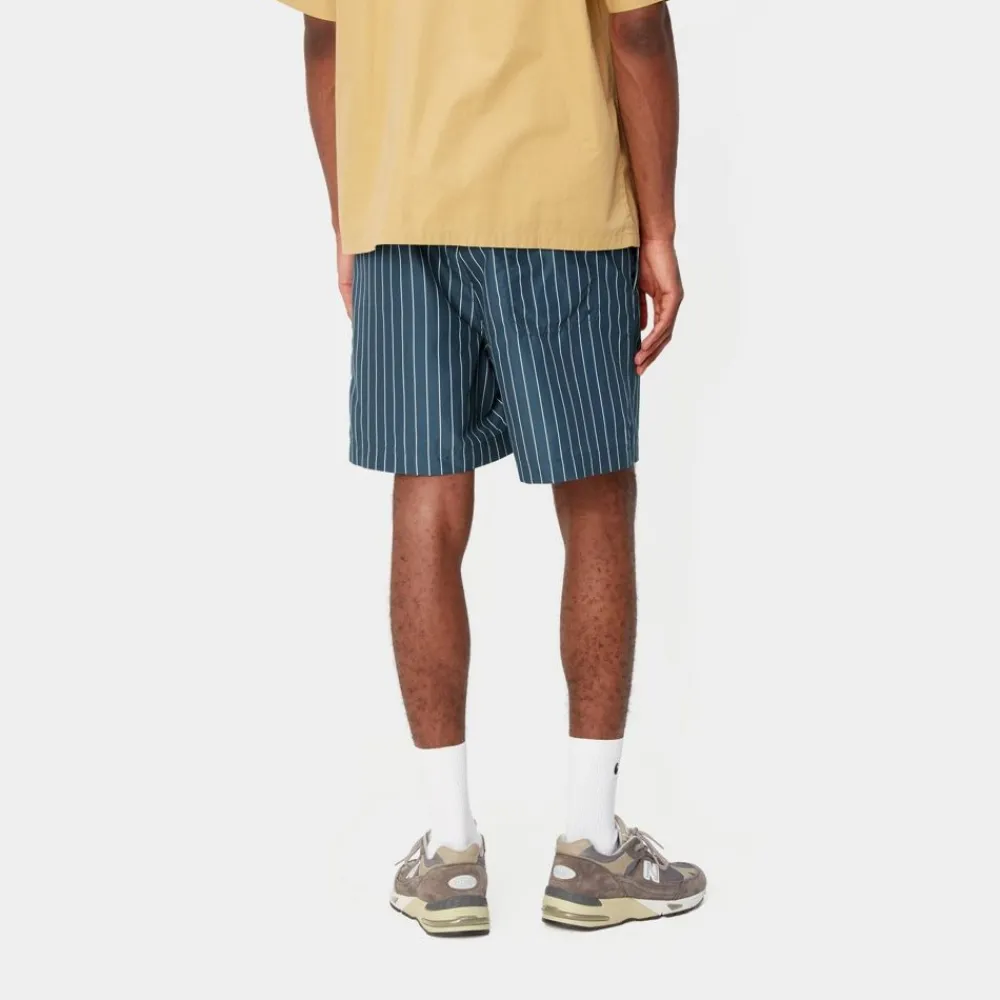 Mænd Carhartt WIP Slater Svommebukser | Bla Cason Stripe Lodret
