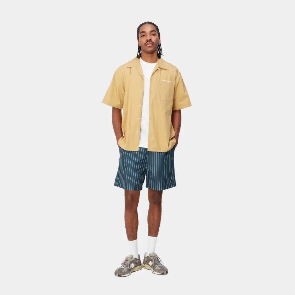 Mænd Carhartt WIP Slater Svommebukser | Bla Cason Stripe Lodret