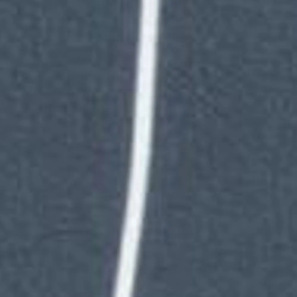 Mænd Carhartt WIP Slater Svommebukser | Bla Cason Stripe Lodret